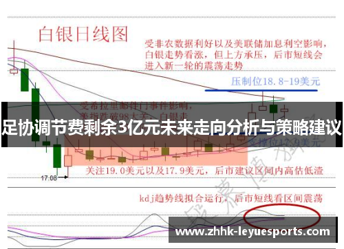 足协调节费剩余3亿元未来走向分析与策略建议