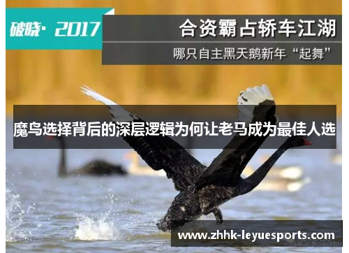 魔鸟选择背后的深层逻辑为何让老马成为最佳人选