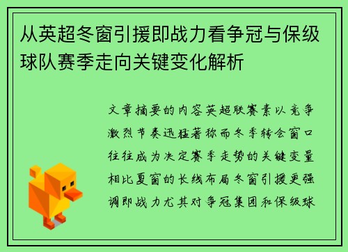 从英超冬窗引援即战力看争冠与保级球队赛季走向关键变化解析